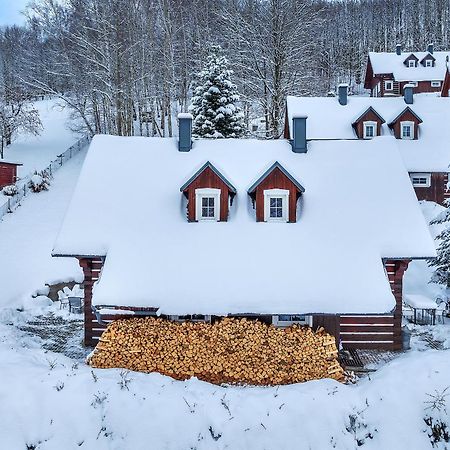 Modern Chalet Na Zlatniku Zlata Olesnice  المظهر الخارجي الصورة