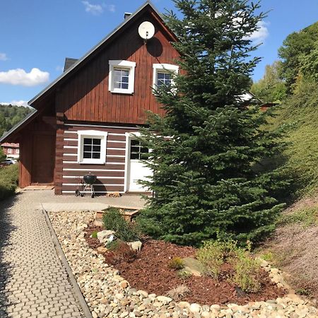Modern Chalet Na Zlatniku Zlata Olesnice  المظهر الخارجي الصورة