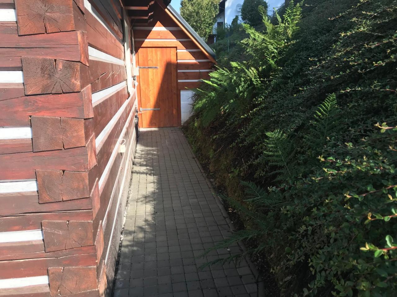 Modern Chalet Na Zlatniku Zlata Olesnice  المظهر الخارجي الصورة