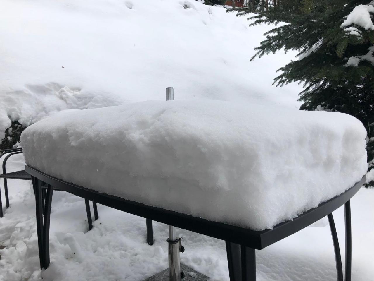 Modern Chalet Na Zlatniku Zlata Olesnice  المظهر الخارجي الصورة